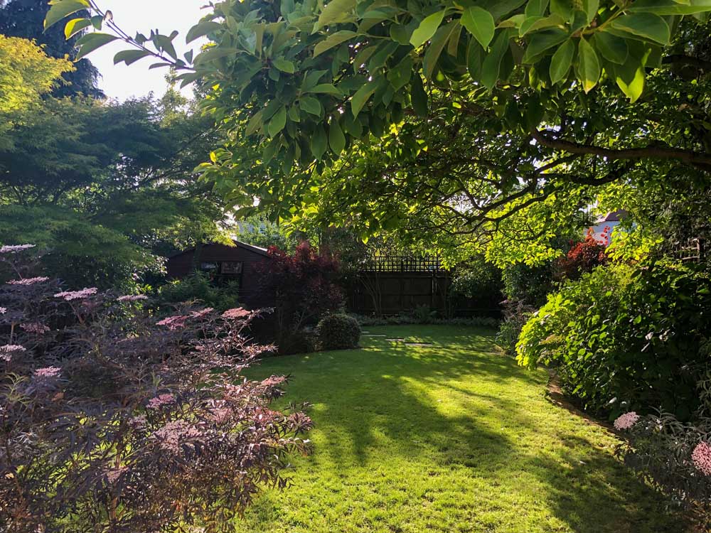Evening view of garden