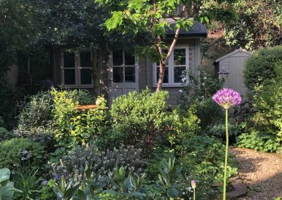 Richly planted patio garden